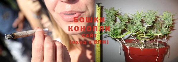 Альфа ПВП Богородск