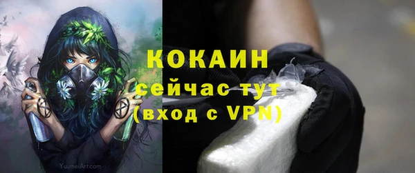 прущий лед Богданович