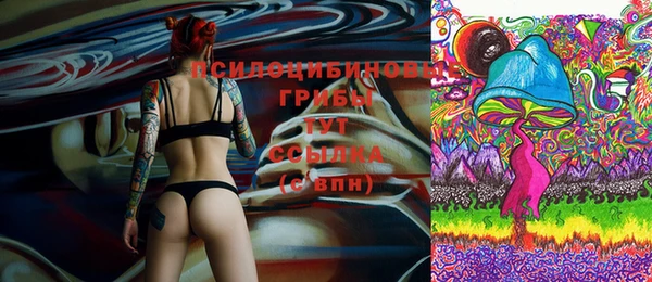 ГАЛЛЮЦИНОГЕННЫЕ ГРИБЫ Бронницы