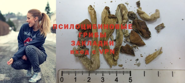 прущий лед Богданович